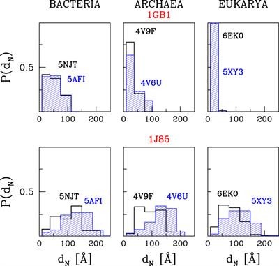 Nascent Folding of Proteins Across the Three Domains of Life